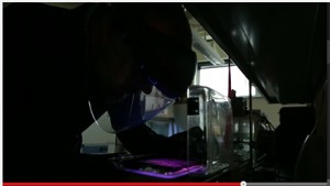Rhy Norton examines sample in UV light