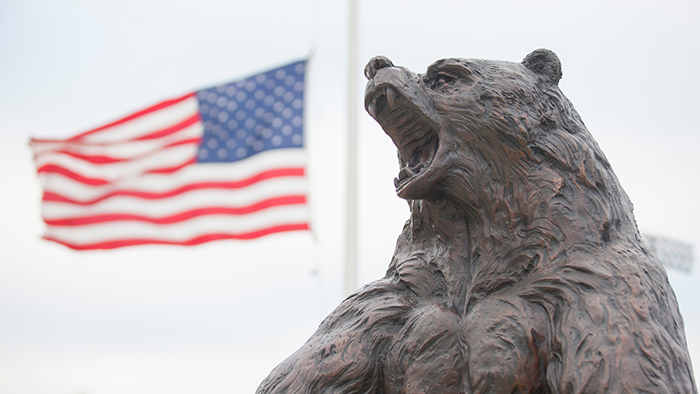 The Bronze Bear in front of the U.S. flag