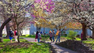 Students walk near trees on campus