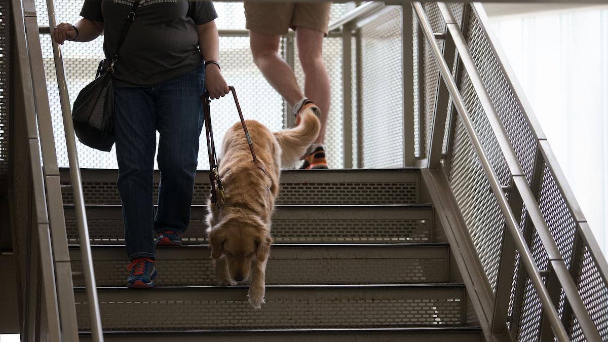 A student with a seeing eye dog