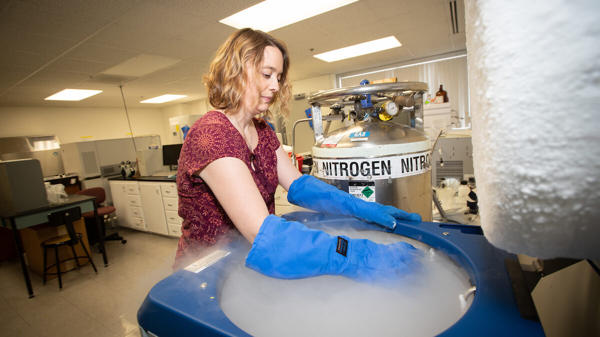 Dr. Amy Hulme works in her research lab