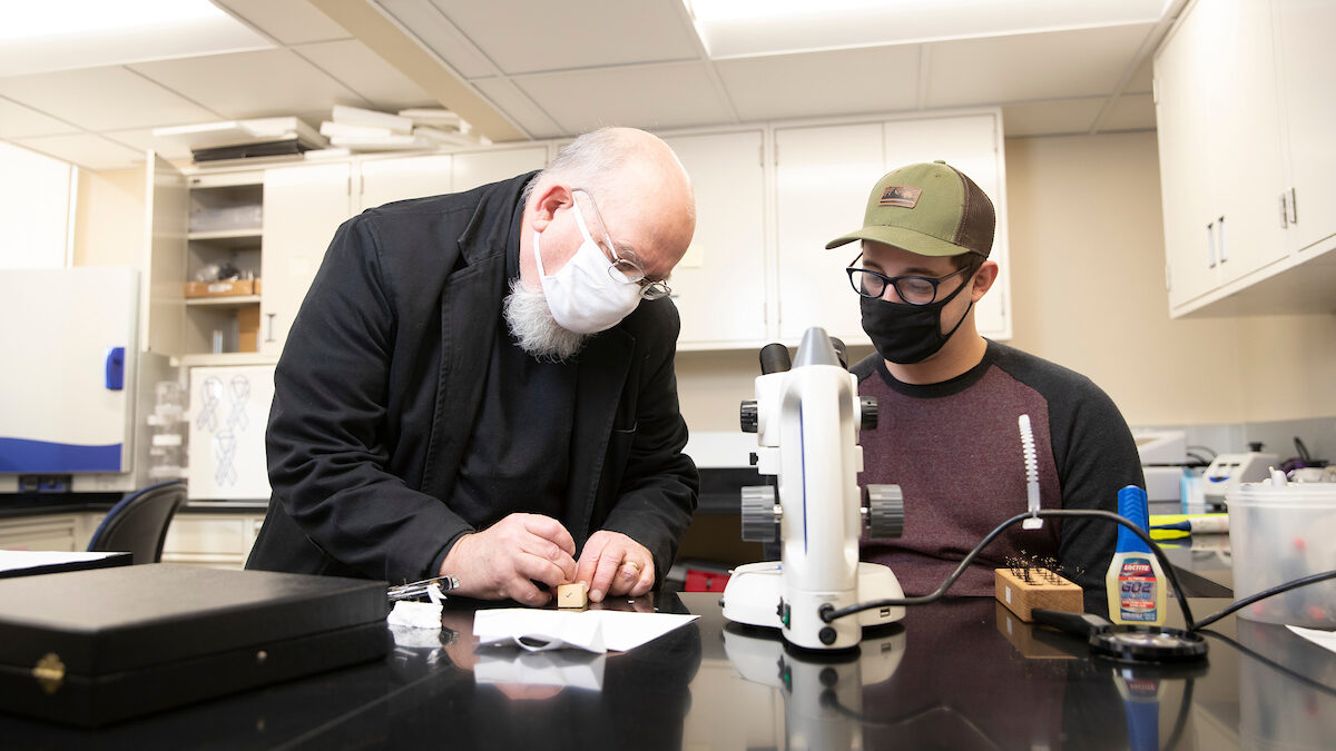 David Claborn and a student observe mosquitoes under a microscope