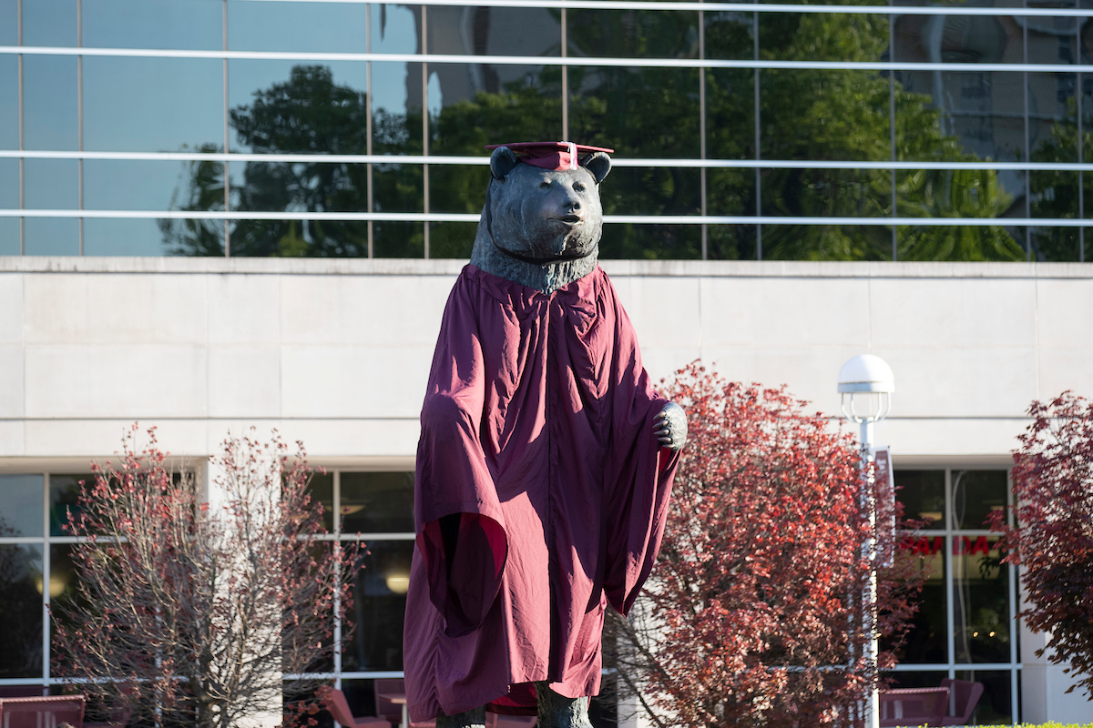 MSU bear statue dressed in cap and gown for commencement.