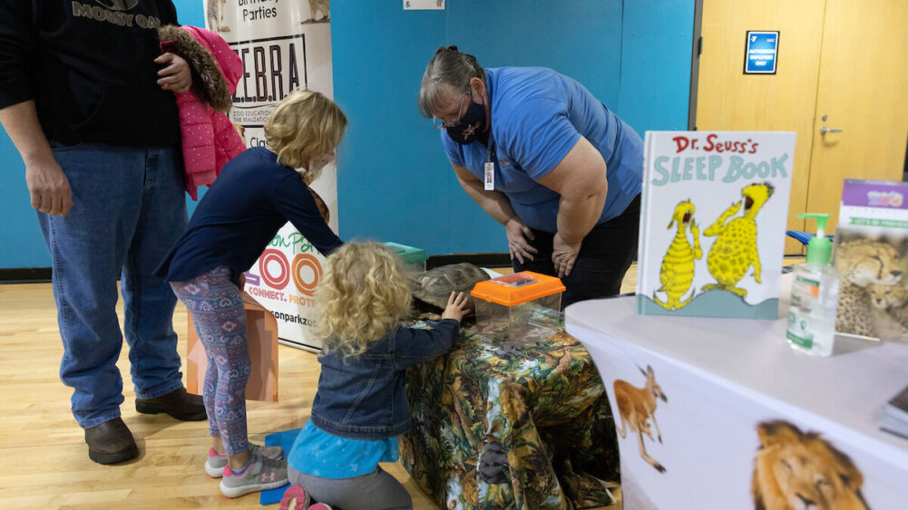 Children check out turtles at 2021 Seuss Science Day.