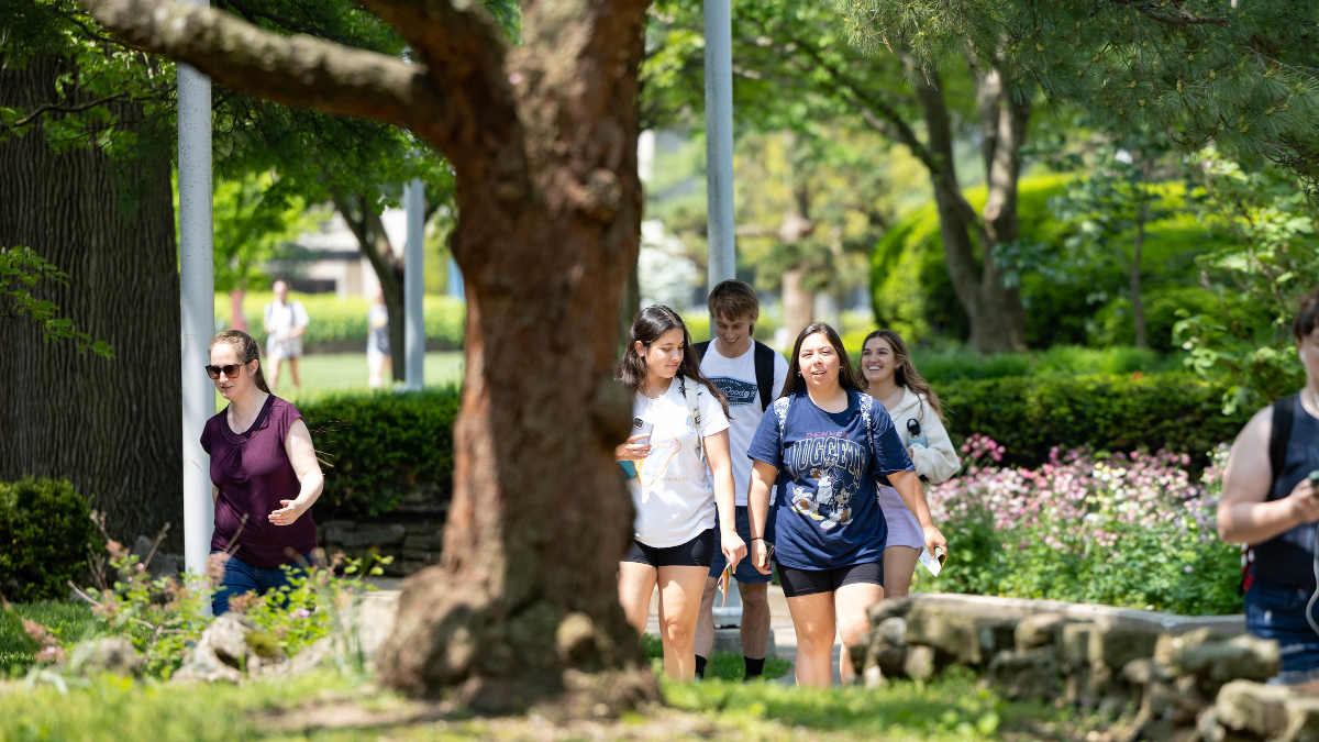 Students walk along tree-lined path.