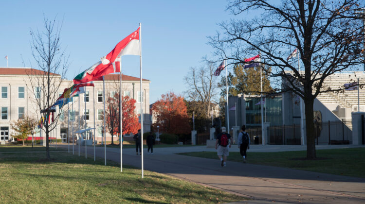 Many international flags fly on campus avenue.