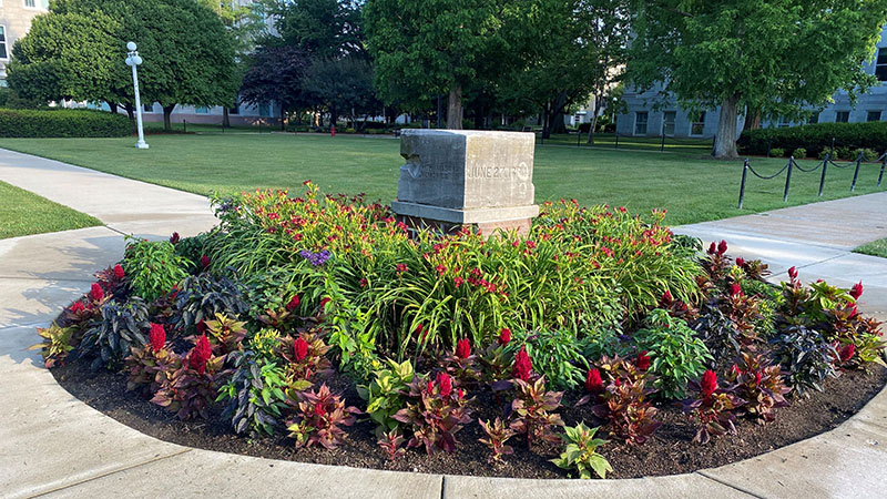 Flowers on the Missouri State University campus.