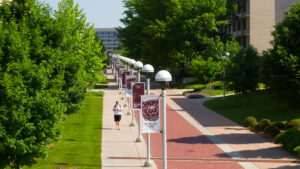 MSU campus flags and a person walking.