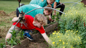 Missouri State University students volunteer with Springfield Community Gardens. Missouri State University students volunteer with Springfield Community Gardens.