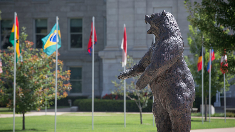 Flags of different countries around the Plaster Stadium Bear Statue on campus.