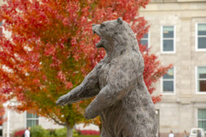 A bear statue in front of a fall tree