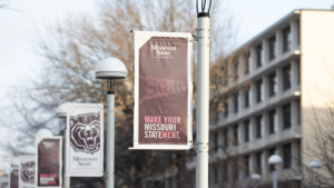 Make your Missouri Statement flags on campus.