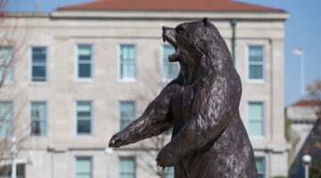 Bronze Bear statue with Carrington Hall in the background