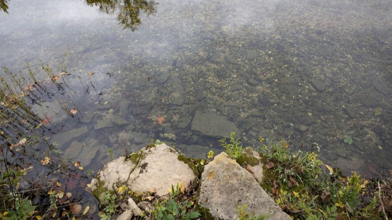 Looking in of the bottom of Bull Mills Creek in Missouri