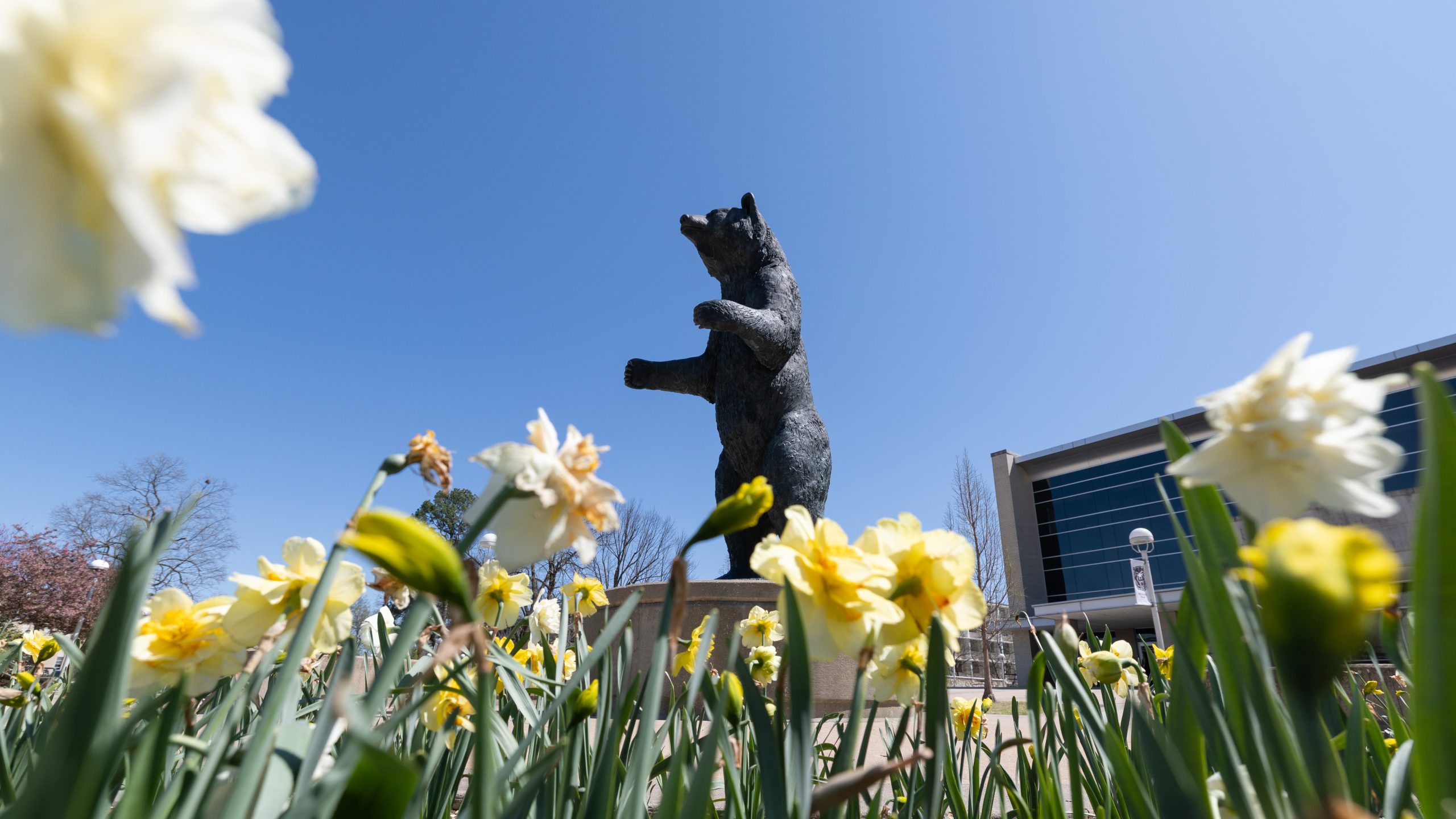 MO State students named CUSA Stars of Tomorrow