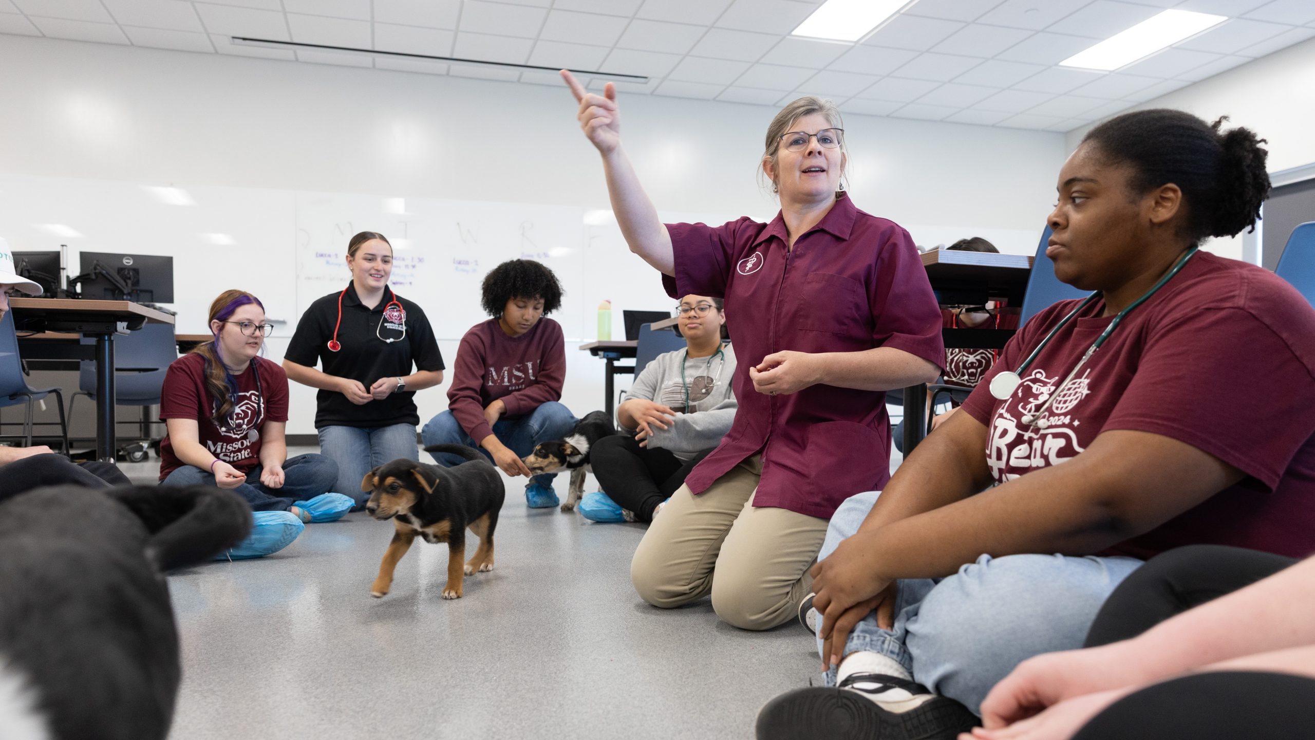 Students work with Dr. Lacy Sukovaty at the Small Animal Education Center.