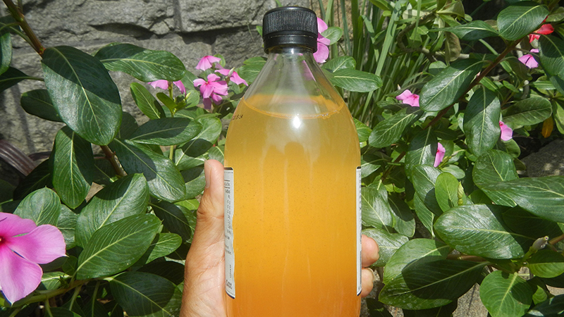 A hand holds a bottle of apple cider vinegar.
