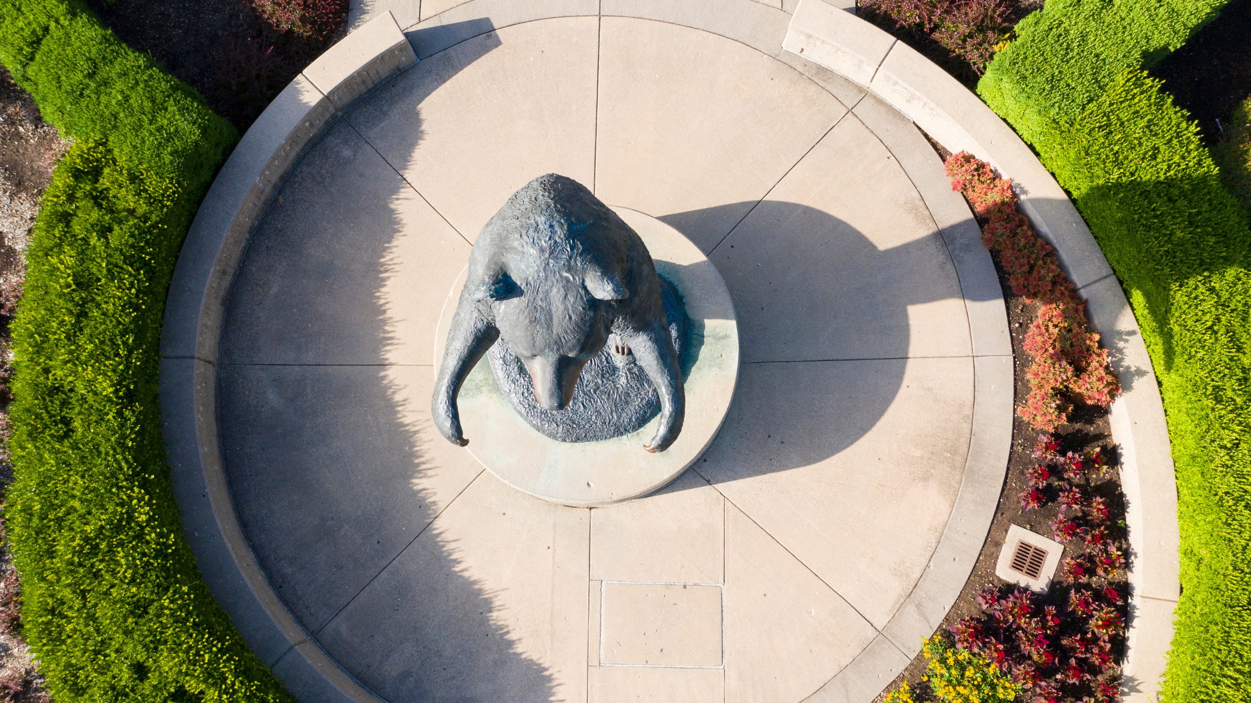 Aerial image of campus bear statue.
