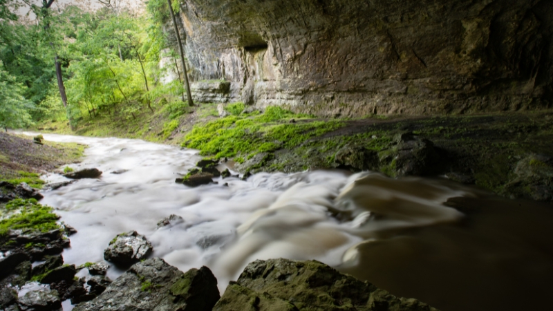 A spring fed stream flowing out of a cave mouth in southwest Missouri
