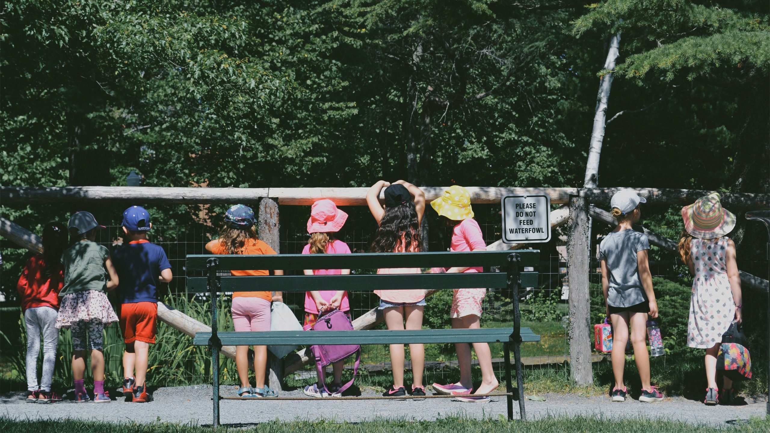 Children stand in line by a fence.