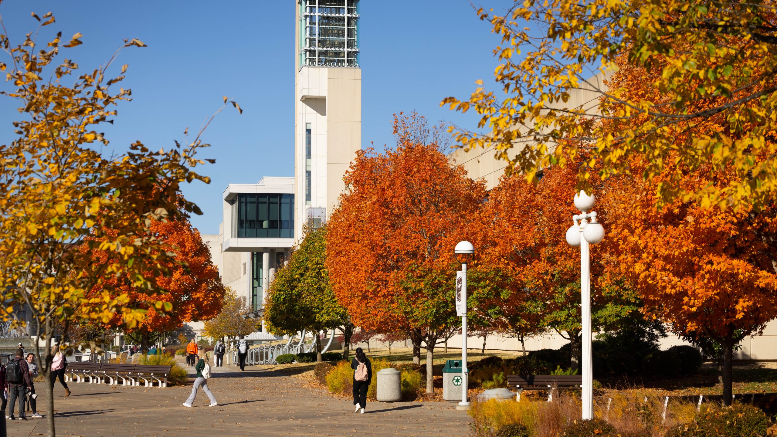 fall on the msu campus