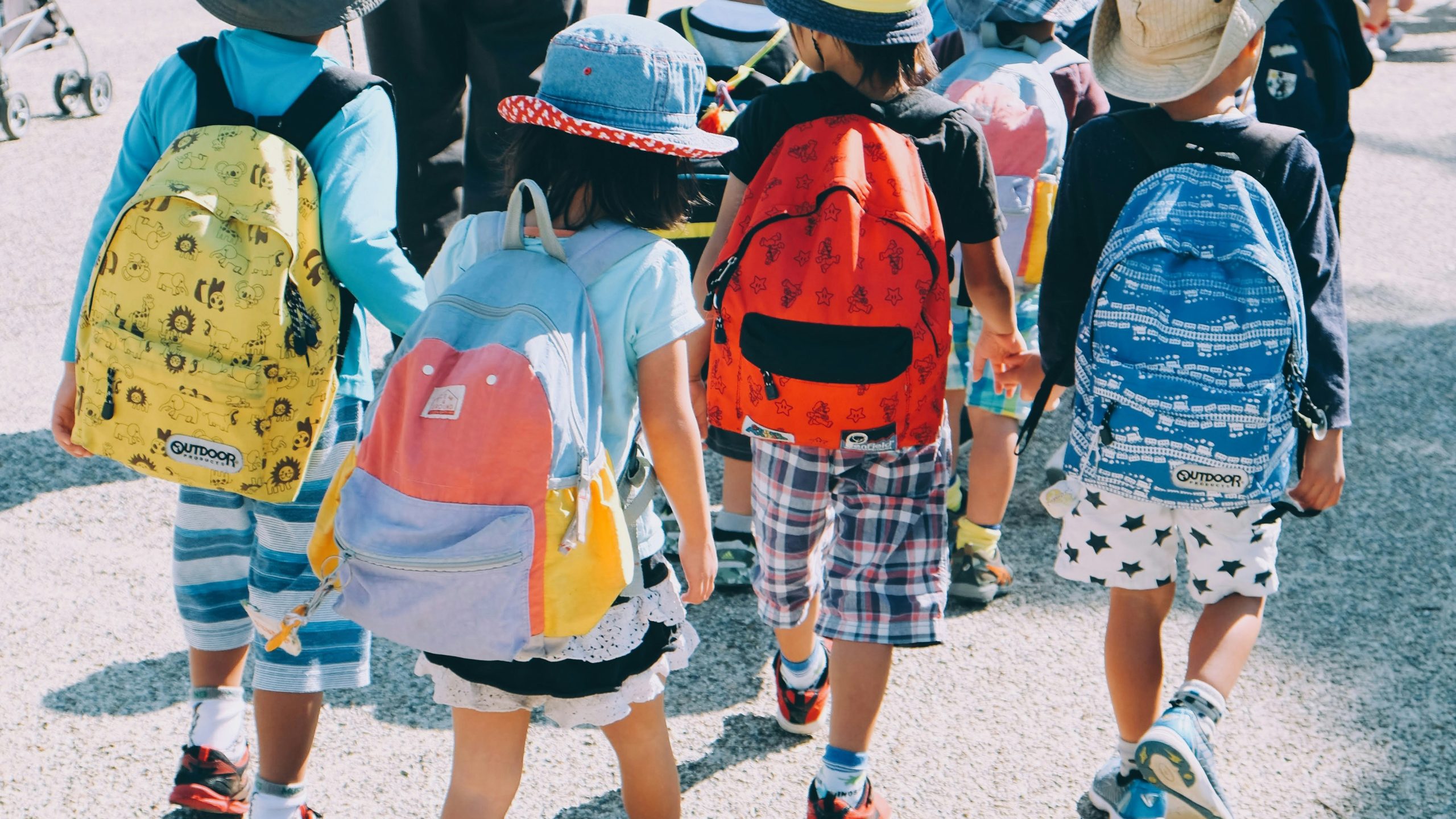 The backs of small children as they walk to school with backpacks on.